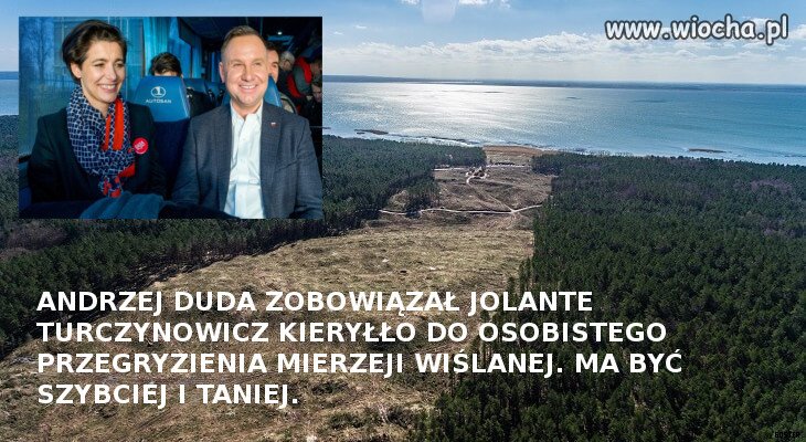Tanie państwo