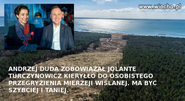 Tanie państwo