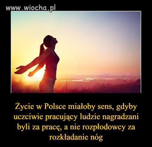 W skrócie...