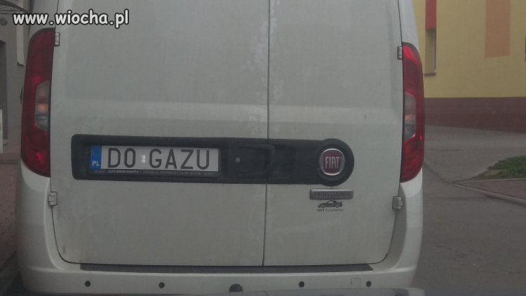 Kogo ???