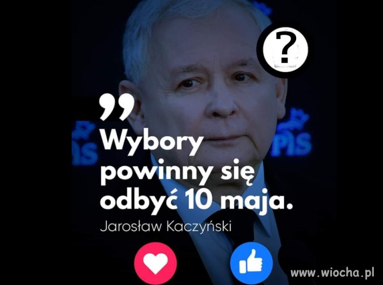 Tak czy nie?proste