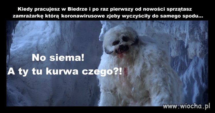 Kiedy sprzątasz w Biedrze...