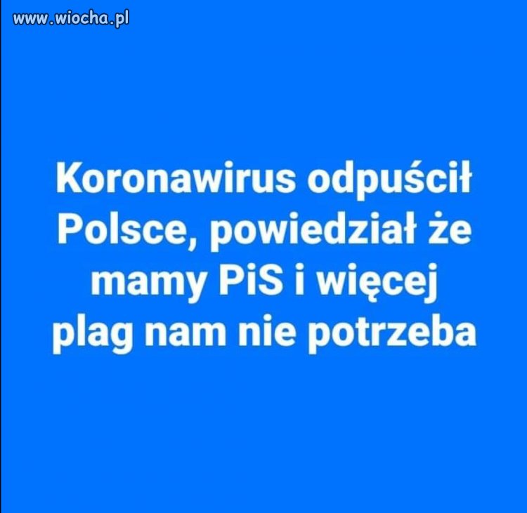 Bez komentarza