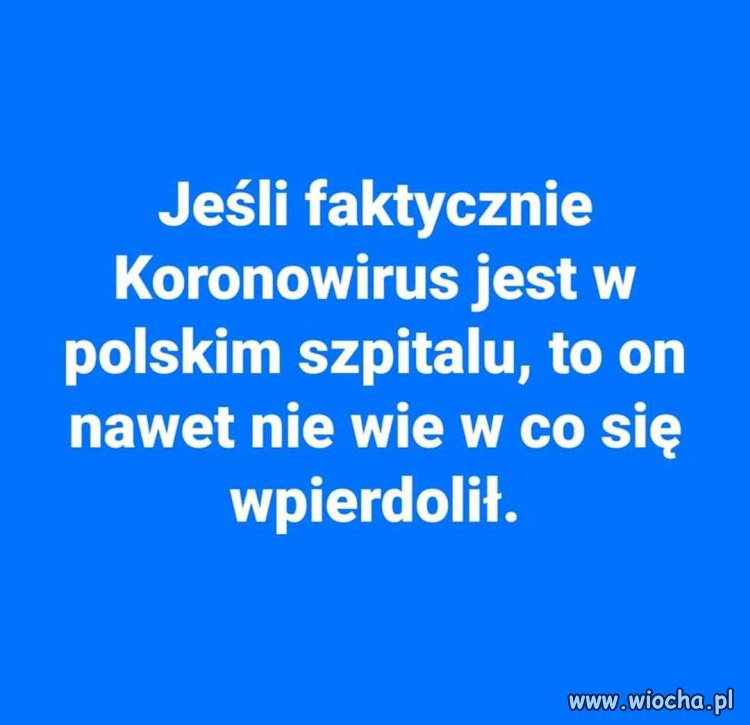 Taka odskocznia od tej fobii wirusowej