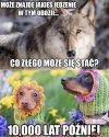Kici kici, taś taś.