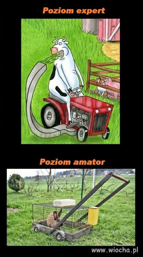 Ekologiczna kosiarka 