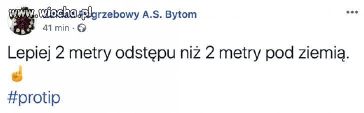 Coś w tym jest