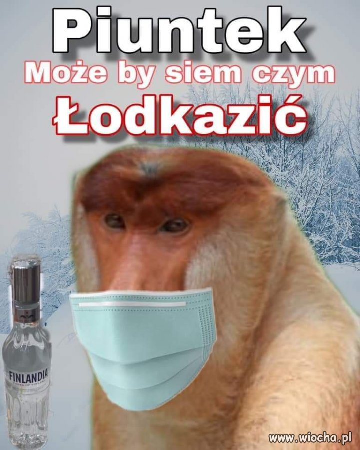 Także ten... 
