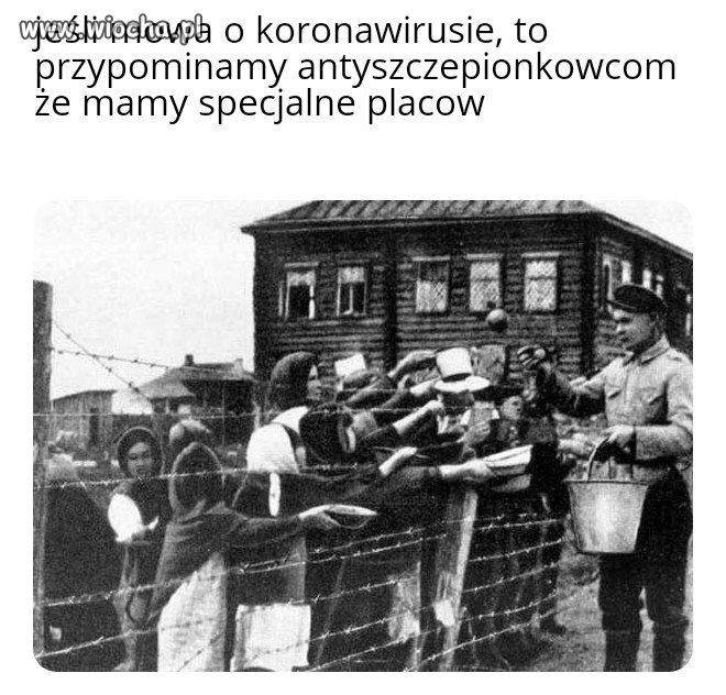 Korona