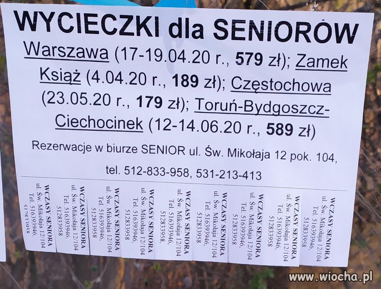 To kiedy jedziemy ? 