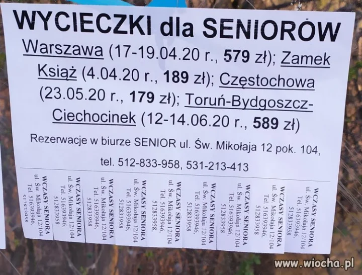 To kiedy jedziemy ? 