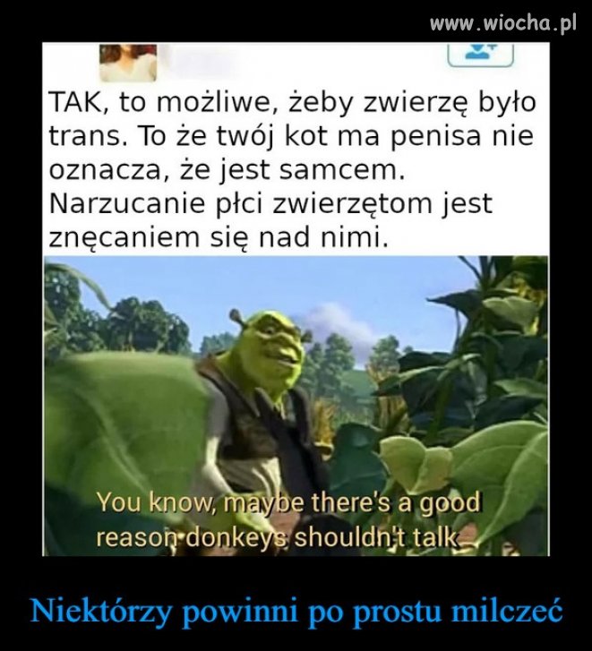 I oni w to wierzą
