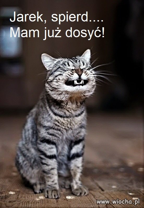 Bez tytułu.