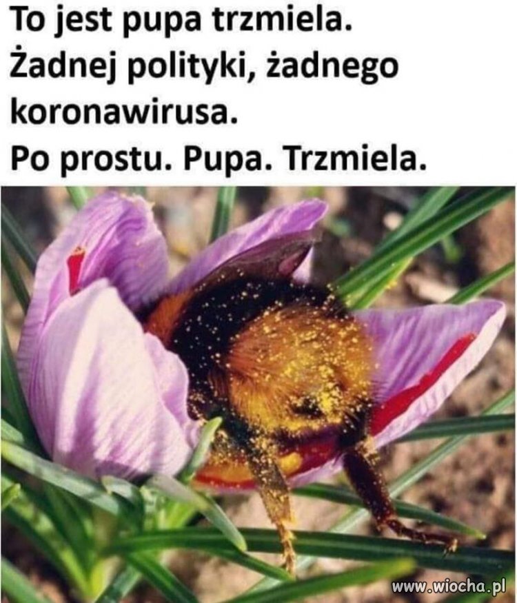 Bez religii