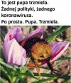 Bez religii