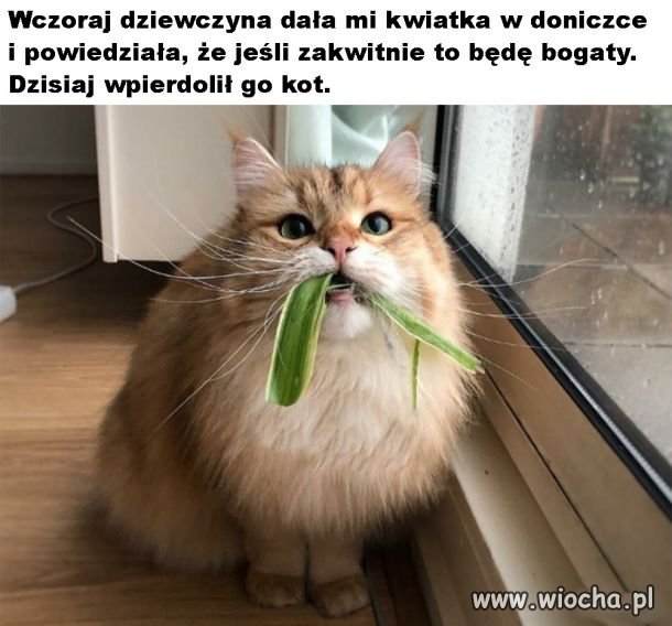 Chcesz być bogaty?