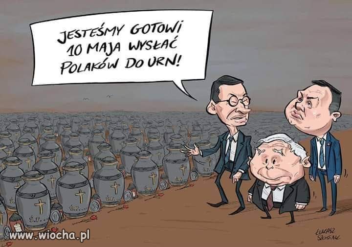 Pis jak zwykle