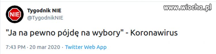 Z niektórymi to nawet wróci do domu