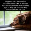 Nasi przyjaciele cierpią...