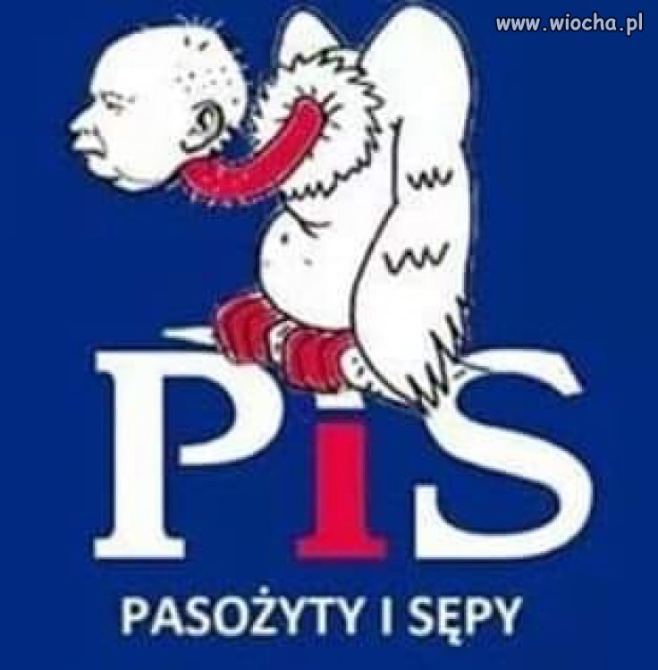 Pasuje jak