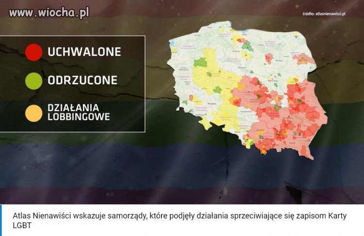 Sprawa stref wolnych od LGBT wyszła poza granice Polski.