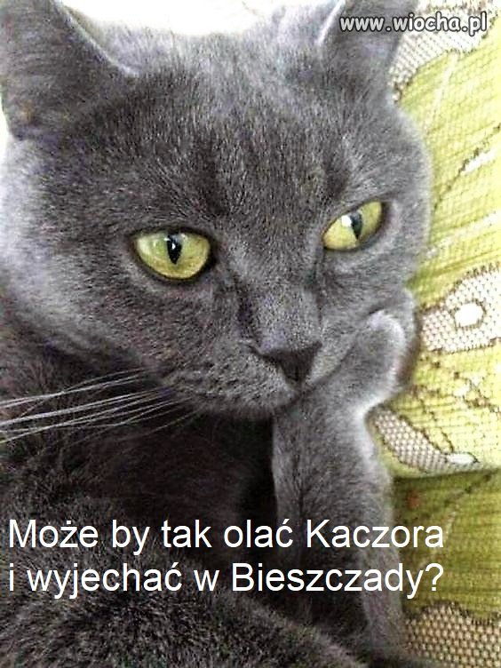 Bez tytułu.