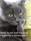 Bez tytułu.