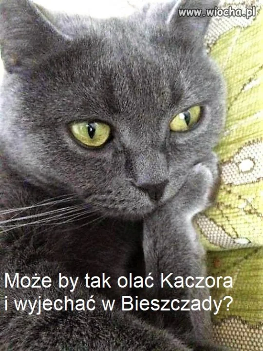 Bez tytułu.