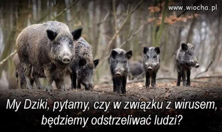 No to jak będzie?