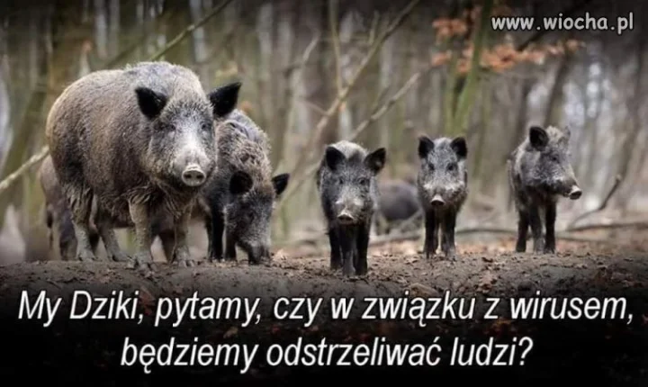 No to jak będzie?