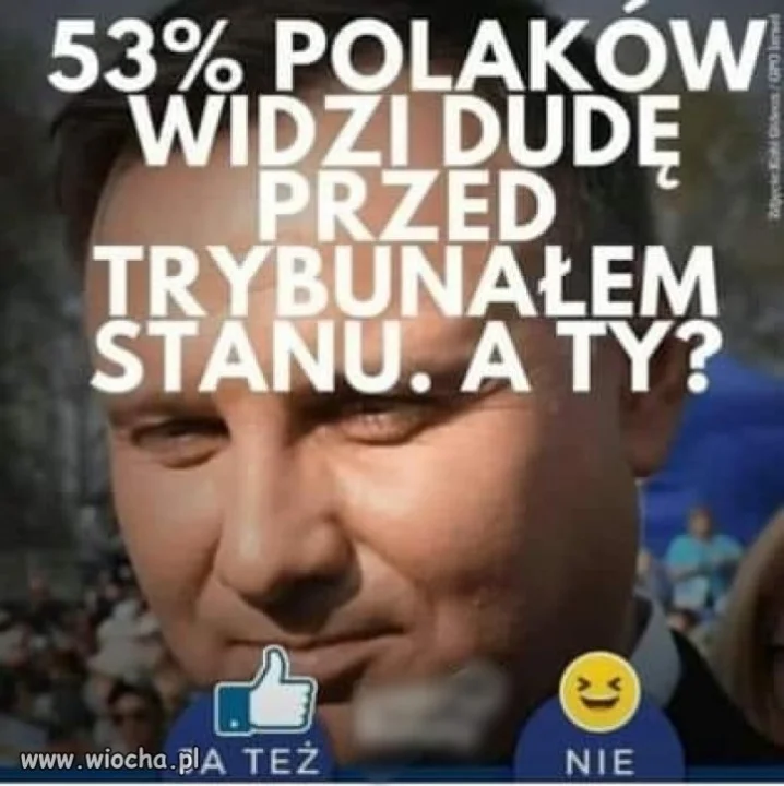 Sondaż