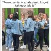 Coś w tym jest
