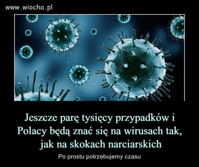 Znawcy wszystkiego