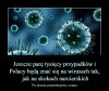 Znawcy wszystkiego