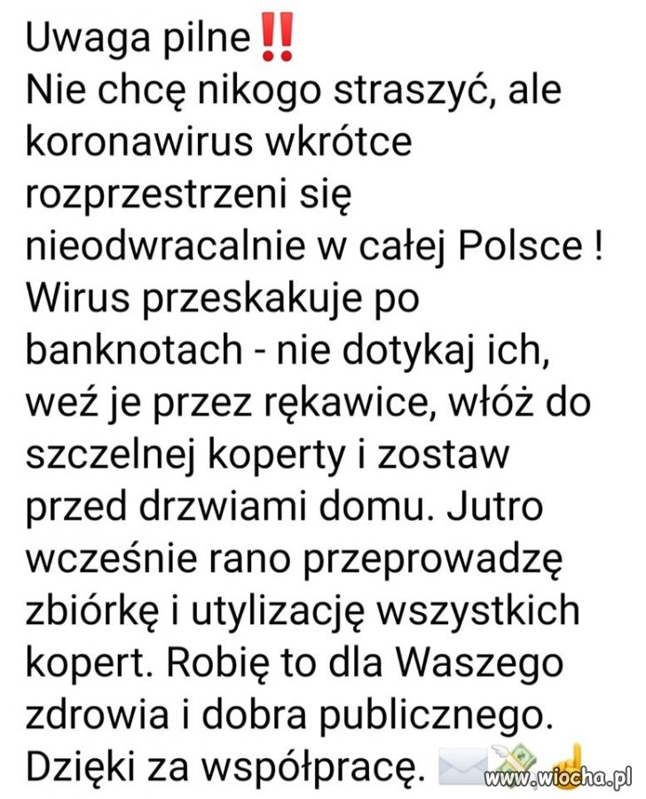 Janusz 