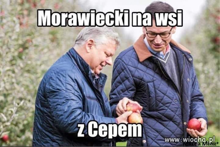 Z gospodarską