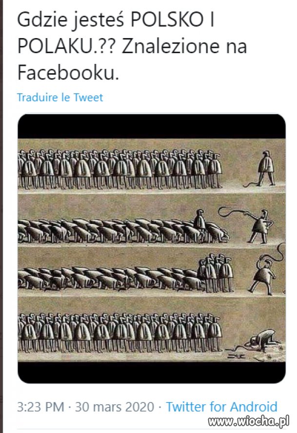 Niedźwiedzie budzić się