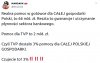 Ktoś musi owcom mówić, że jest dobrze