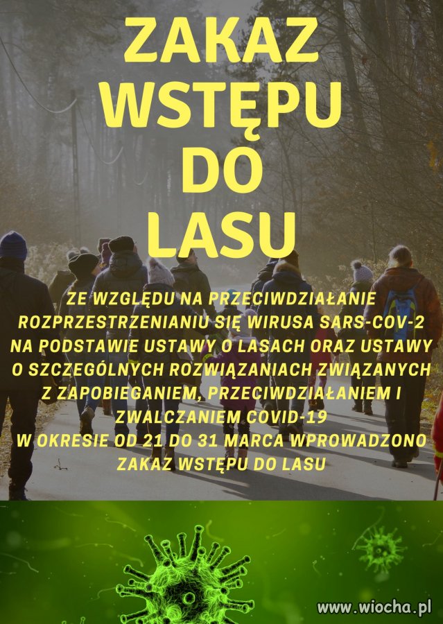 Tymczasem 