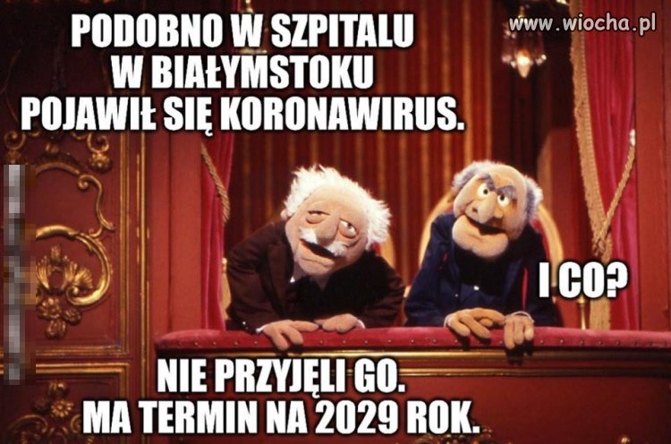 Właśnie ! Kolejka jest ! 