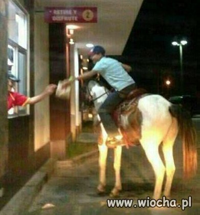 Książę na białym koniu