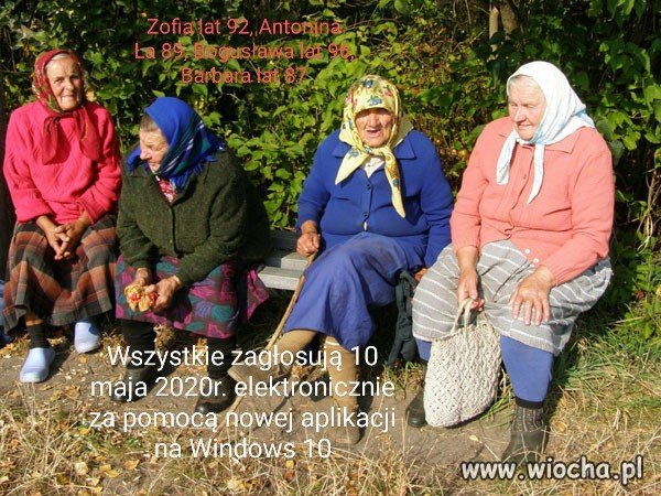 Wybory