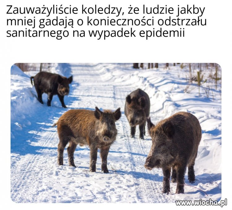 Epidemia
