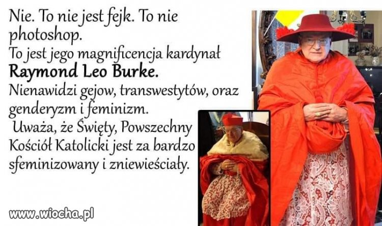Drag queen ...