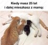 Jak w życiu