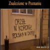 A to Polska właśnie.