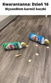 Kiedy cała ta kwarantanna