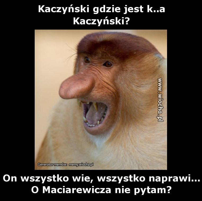 Kaczyński gdzie jest k..a
Kaczyński?