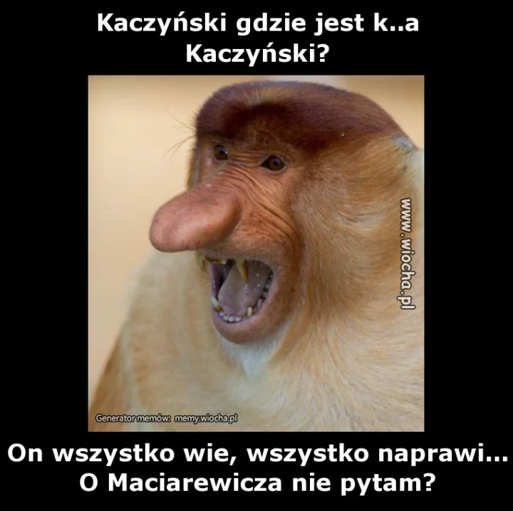 Kaczyński gdzie jest k..a
Kaczyński?