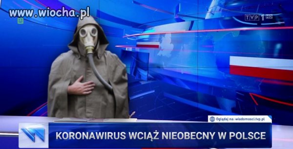 Polska telewizja 